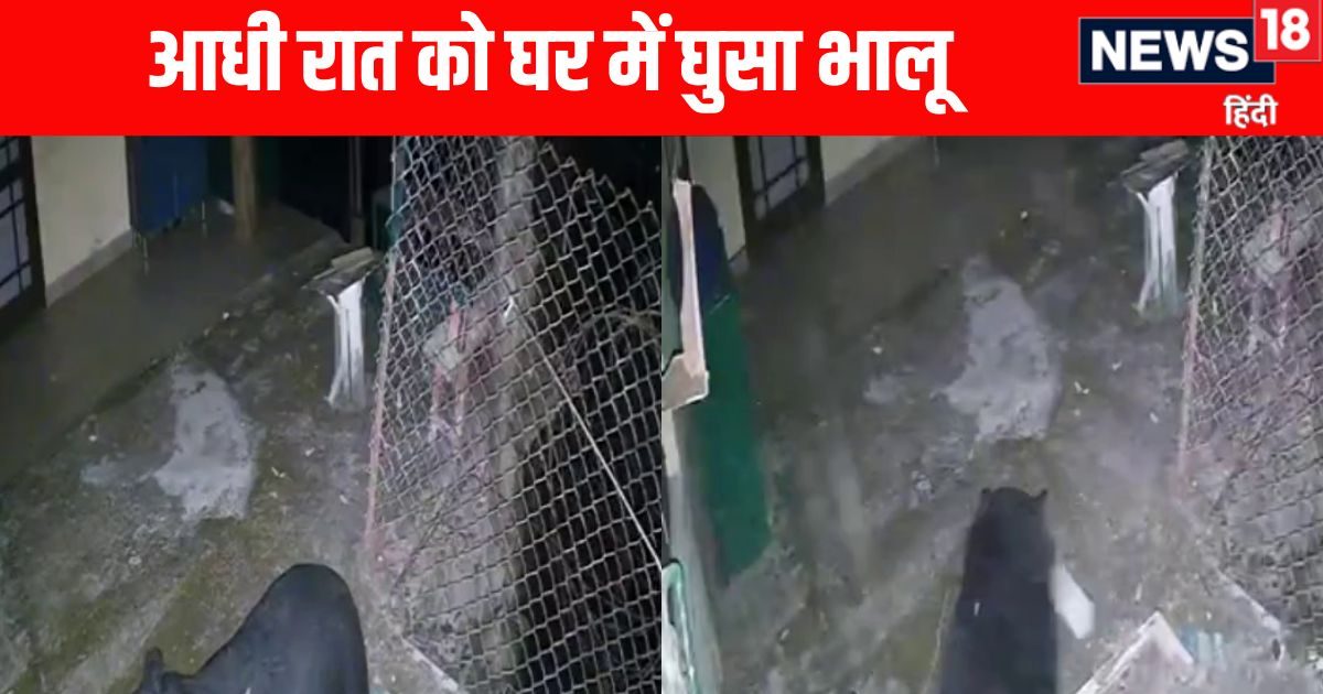 हिमाचल के डलहौजी में चोरों के तरह घर की किचन में घुसा भालू, उड़ाई दावत
