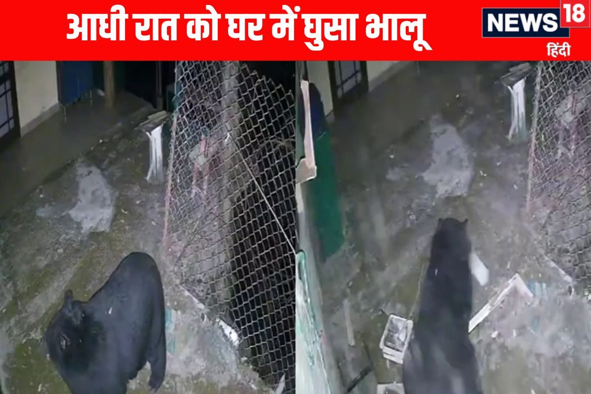 हिमाचल के डलहौजी में चोरों के तरह घर की किचन में घुसा भालू उड़ाई दावत