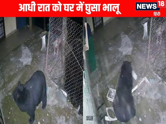 हिमाचल के डलहौजी में चोरों के तरह घर के किचन में घुसा भालू, उड़ाई दावत