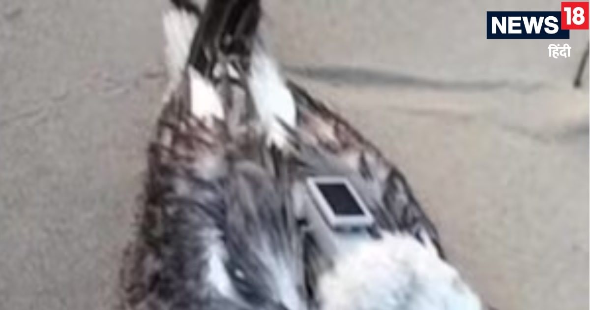 जहां INS विक्रांत का घर, पास में न्‍यूक्लियर प्‍लांट, वहीं पहुंचा चीनी 'जासूस'