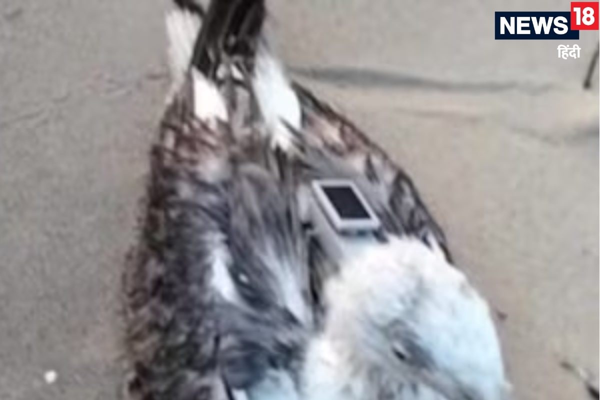 जहां INS विक्रांत का घर पास में न्‍यूक्लियर प्‍लांट वहीं पहुंचा चीनी जासूस