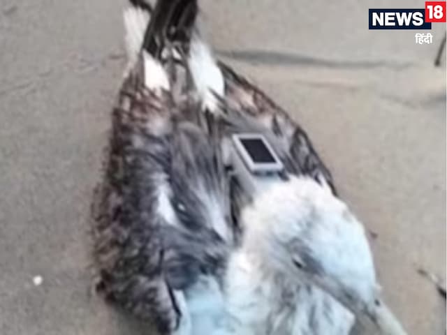 जहां INS विक्रांत का घर, पास में न्‍यूक्लियर प्‍लांट, वहीं पहुंचा चीनी 'जासूस'