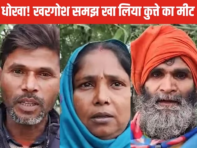 शराबी ने कुत्ते को मारकर ‘खरगोश’ बताकर बेचा मीट, आरोपी ने खुद किया खुलासा शराबी ने कुत्ते को मारकर ‘खरगोश’ बताकर बेचा मीट, आरोपी ने खुद किया खुलासा