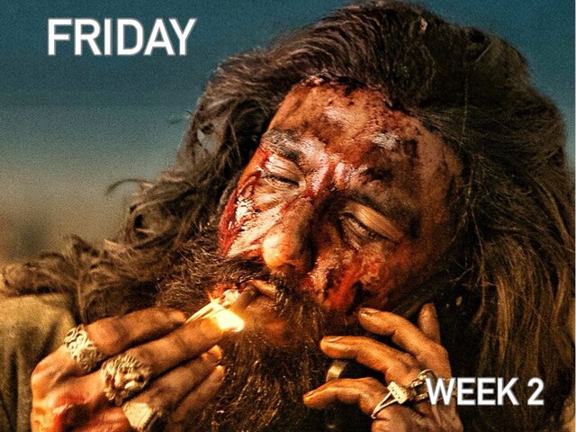 बॉक्स ऑफिस पर 'धुरंधर' की दहाड़, पुष्पा 2-छावा-एनिमल को दी पटखनी