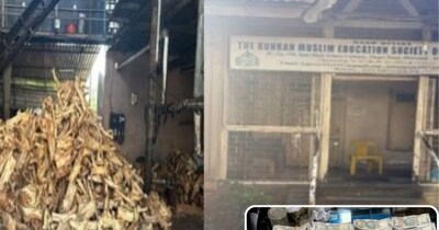 ED ने ISIS से जुड़े आतंकी नेटवर्क पर कार्रवाई में खैर लकड़ी की अवैध तस्करी से फंडिंग का खुलासा किया. (फोटो News18)