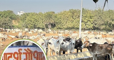 ग्‍वालियर से दिल दहला देने वाली खबर है. 