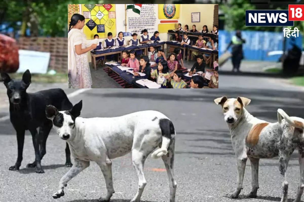 पढ़ाने आया था क्या पता था कुत्ते गिनने होंगे टीचरों के दर्द पर श‍िक्षा