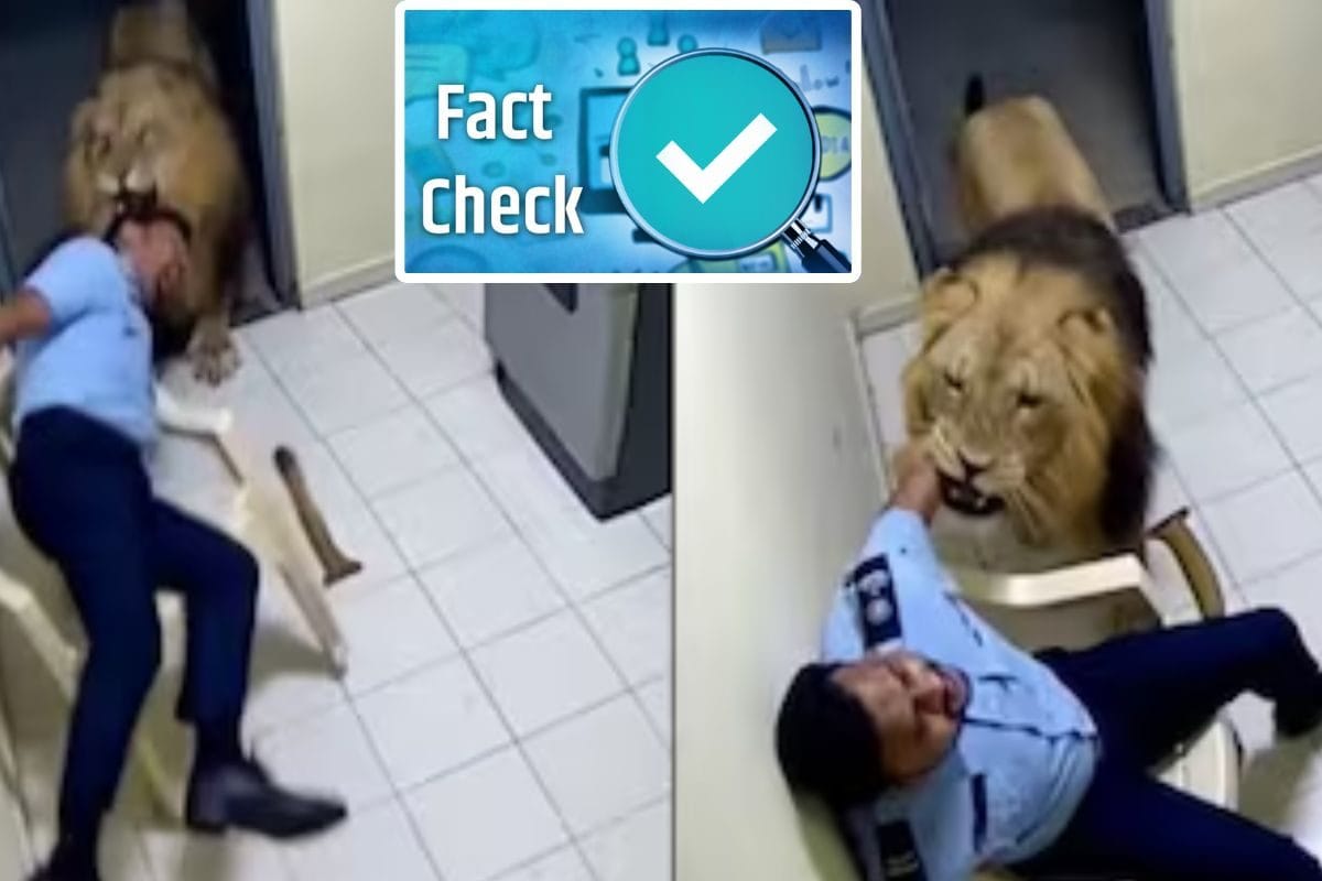 एटीएम के कमरे से गार्ड को शेर घसीट ले गया 40 सेकंड के वायरल वीडियो की सच्चाई