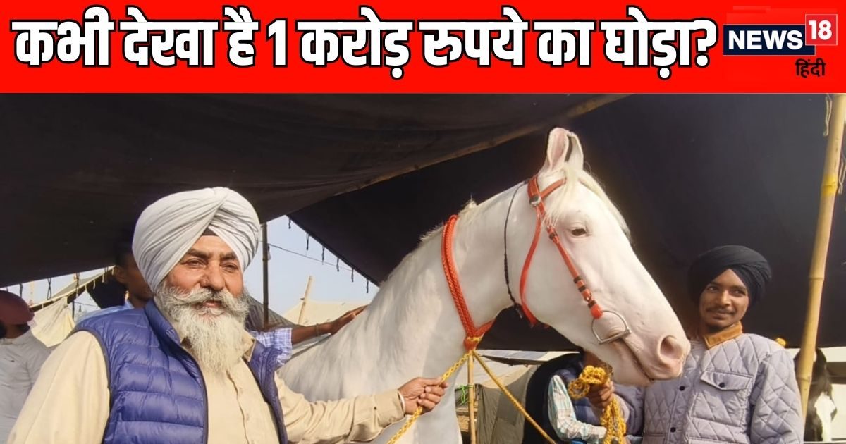 हरियाणा में ₹1 करोड़ का घोड़ा, सिर से पैर तक सफेद, देखभाल के लिए रखे तीन सेवादार