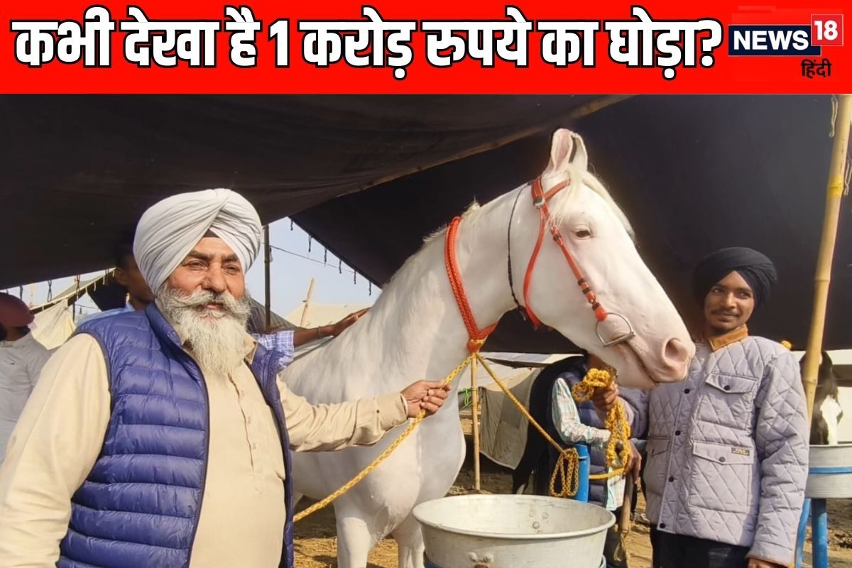 हरियाणा में ₹1 करोड़ का घोड़ा सिर से पैर तक सफेद देखभाल के लिए रखे तीन सेवादार