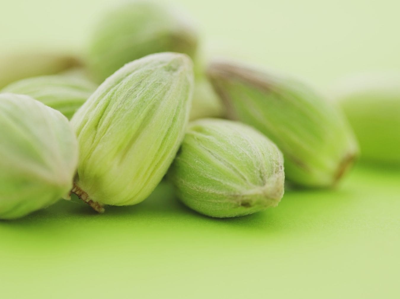 cardamom