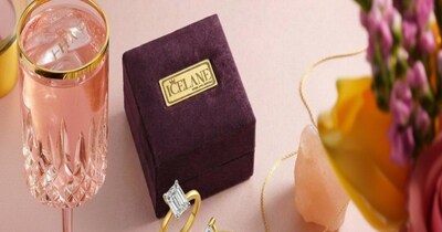 TheIceLane: लैब-ग्रोन डायमंड बाजार में 'जागरूकता' से जीत रहा भरोसा.