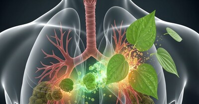 Paan: 5-Rupee Leaf Offers Digestion, Mood, Phlegm Relief. Know How.