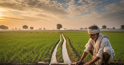 Azamgarh Expert: Wheat's First Irrigation Crucial 20-25 Days After Sowing