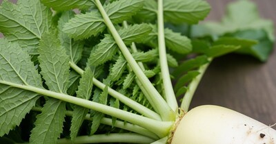 Radish Leaves: A Nutritional Treasure for Heart, Bones & Immunity