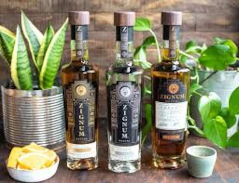 'मेज़कल' असल में एगेव पौधे से बनी किसी भी शराब को कहा जा सकता है. तकनीकी रूप से देखें तो टकीला भी एक तरह का मेज़कल ही है, लेकिन हर मेज़कल टकीला नहीं होता. इन दोनों को बनाने के लिए मेक्सिको में सख्त कानून और नियम तय हैं. मेज़कल बनाने के लिए मेक्सिको के नौ राज्यों में उगने वाली एगेव की कई किस्मों का इस्तेमाल किया जा सकता है, जबकि टकीला के नियम कुछ अलग हैं. 'मेज़कल' असल में एगेव पौधे से बनी किसी भी शराब को कहा जा सकता है. तकनीकी रूप से देखें तो टकीला भी एक तरह का मेज़कल ही है, लेकिन हर मेज़कल टकीला नहीं होता. इन दोनों को बनाने के लिए मेक्सिको में सख्त कानून और नियम तय हैं. मेज़कल बनाने के लिए मेक्सिको के नौ राज्यों में उगने वाली एगेव की कई किस्मों का इस्तेमाल किया जा सकता है, जबकि टकीला के नियम कुछ अलग हैं.