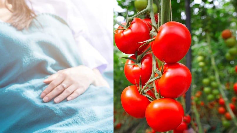 side effects of eating too many tomatoes kidney stones acidity and joint pain alert