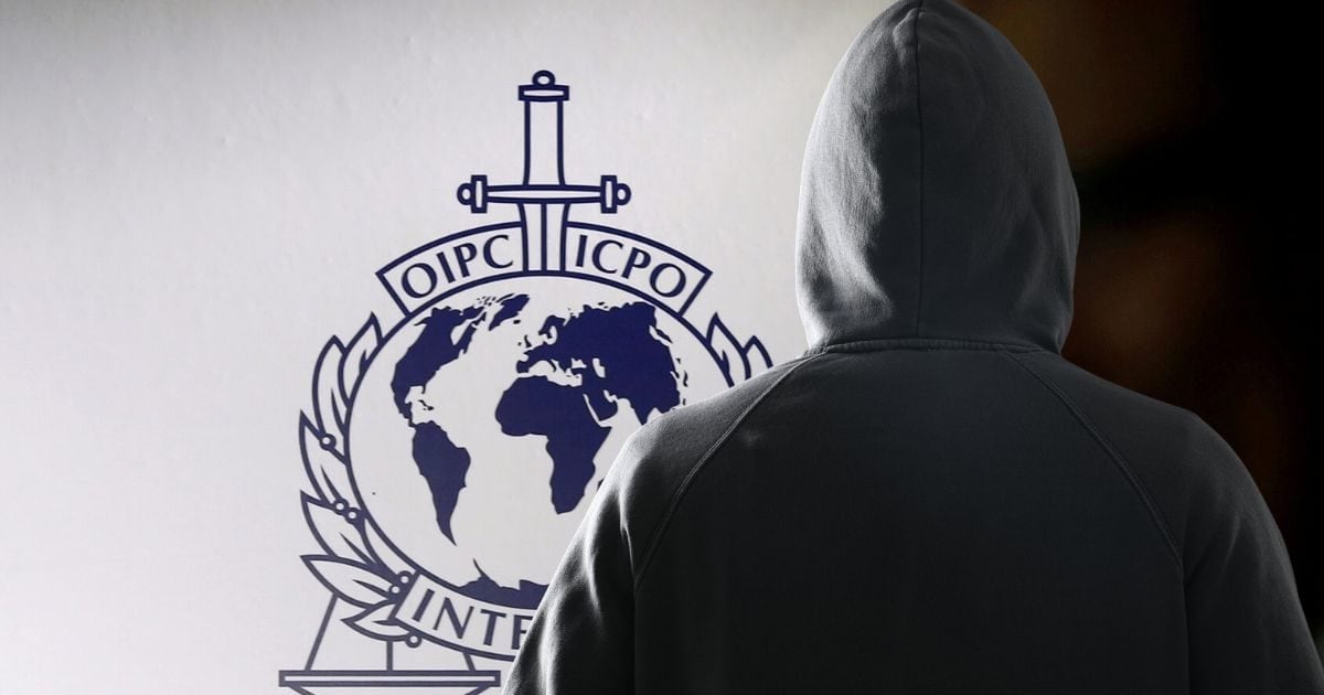 Safe Heaven for Criminals| Which Countries are not in Interpol| Countries  Out of Interpol: कौन से हैं वो देश, जहां इंटरपोल भी नहीं बिगाड़ सकता कुछ,  अपराधियों के लिए बने हैं सेफ