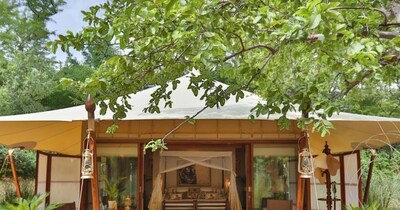 प्रियंका गांधी रणथंभौर नेशनल पार्क में नया साल मनाएंगी. 