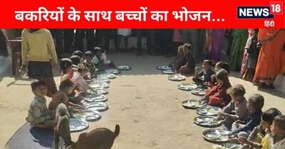 Katni Anganwadi: Children Eat With Goats Amid Neglect