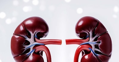 बच्चों में भी बढ़ रहा है किडनी फेलियर का खतरा