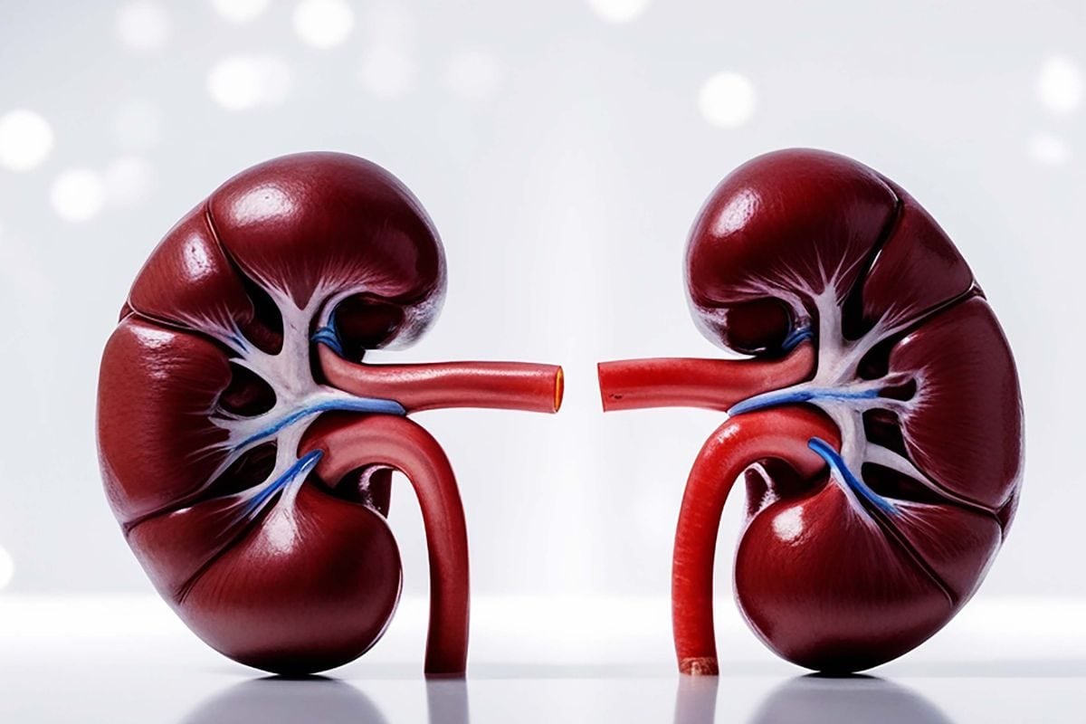 वो एक खामोश बीमारी जो जन्म से ही बच्चे की किडनी को कर रही है खोखला! समय रहते पहचानें ये संकेत