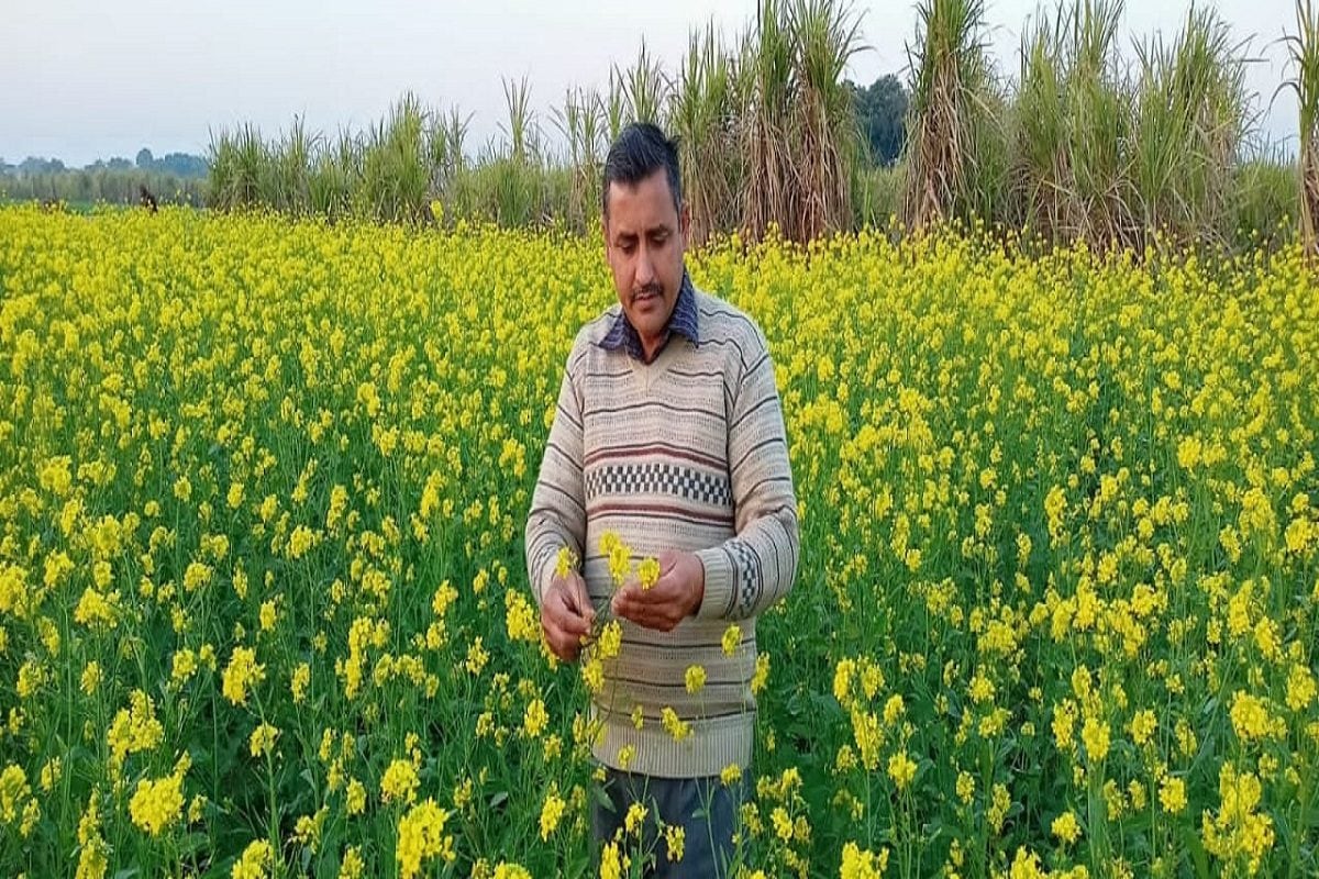 ग्रामीण रोजगार ढांचे को विकसित भारत के अनुरूप बनाने की मोदी सरकार की तैयारी