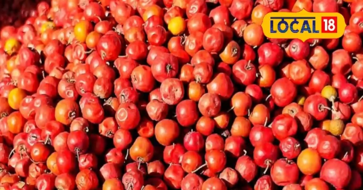 Health Benefits of Desi Ber: Why it is called the Apple of Rajasthan ...