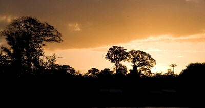 किस देश को लैंड ऑफ फॉरेस्ट्स कहा जाता है? (प्रतीकात्मक फोटो: Canva)