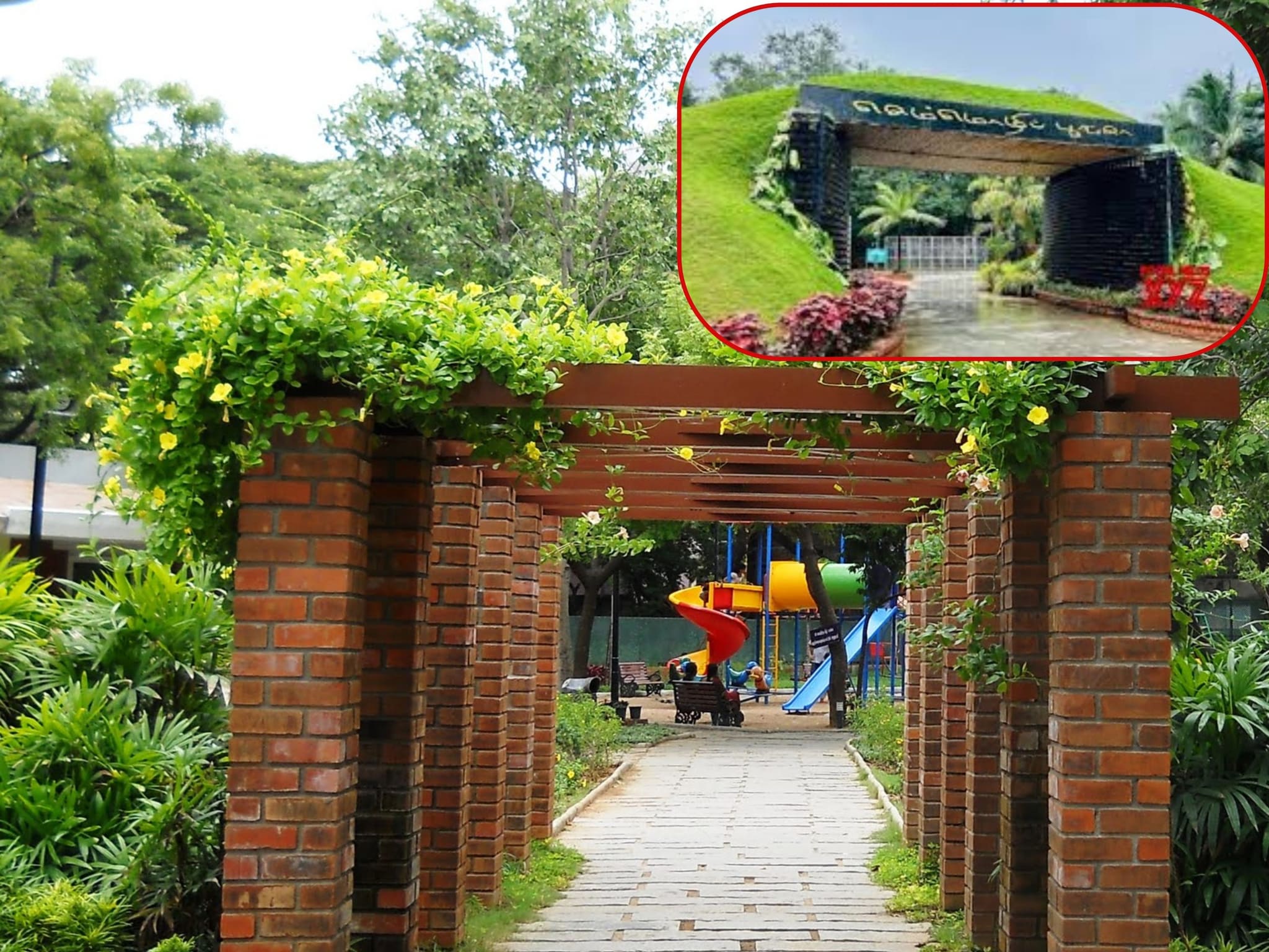 लैंग्वेज पार्क 5 से 10 रुपये मिलेगा संस्कृति की झलक QR से खुलेगा पौधे का राज