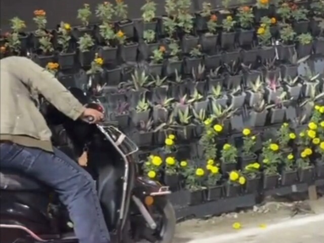 पीएम मोदी के जाते ही गमले चोरी कर ले गए लोग, लखनऊ की वीडियो हो रही वायरल