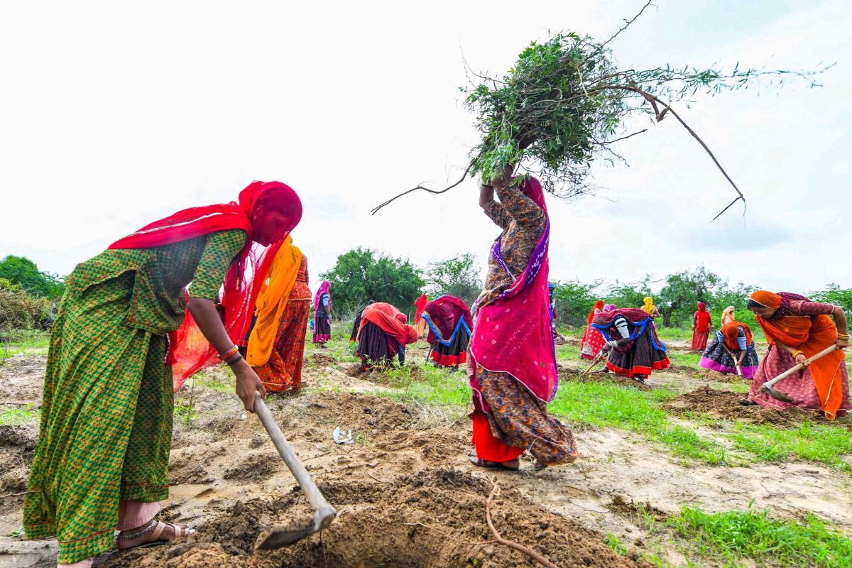 मनरेगा खत्म करने वाले बिल को संसद की मंजूरी अब वीबी जी राम जी काूनन जल्द