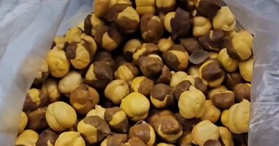 मेसर्स मां तारा ट्रेडर्स पर छापा मारकर 750 बोरों में रखा भुना चना पकड़ा. 