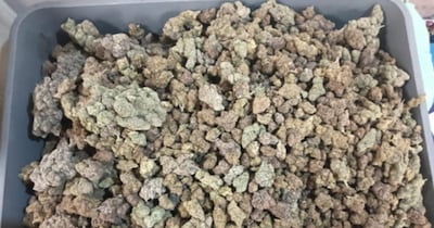 Mumbai International Airport News: मुंबई इंटरनेशनल एयरपोर्ट पर नशे की खेप बरामद की गई है. (फोटो: IANS)