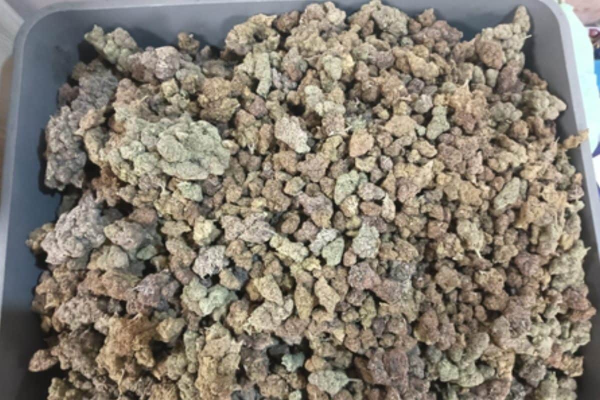 इंटरनेशनल एयरपोर्ट आधी रात का वक्‍त फिर हुआ कुछ ऐसा 5 यात्री सीधे अरेस्‍ट