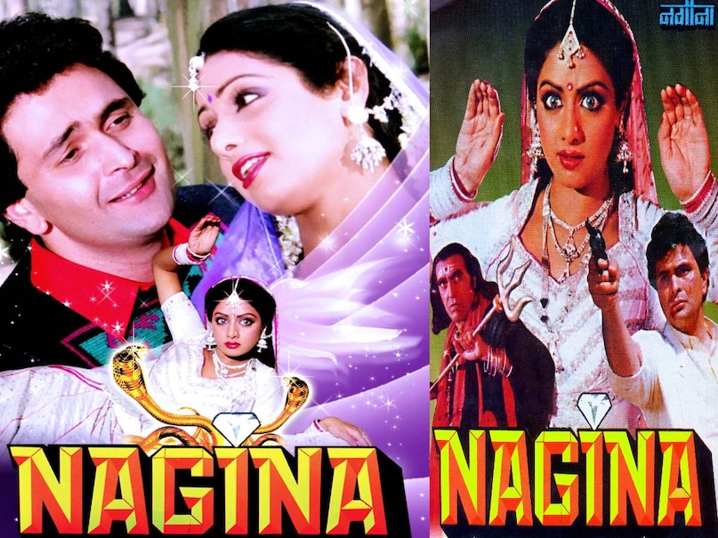 ichchadhari nagin movie hindi, rishi kapoor sridevi movie nagina cast, Nagina movie 1986 trivia, sri devi movie nagina, sri devi movie nagina budget, sri devi movie nagina story, sri devi movie nagina hit o flop, sri devi movie nagina movie box office collection, sri devi movie nagina hit or flop, sri devi movie nagina director, sridevi nagina movie photos, main teri dushman dushman tu mera movie name, main teri dushman dushman tu mera movie lyrics, Reena Roy nagin movie story, Reena Roy nagin movie, Reena Roy movies, Nagin movie 1976 release date, nagin movie Reena Roy Jeetendra wali, Reena Roy Jeetendra nagin film, Nagin movie box office collection, Nagin movie budget, Nagin movie 1976 trivia, reena roy Nagin movie cast, nagin movie heroine name, Nagin full movie download, Rajkumar kohli movies,