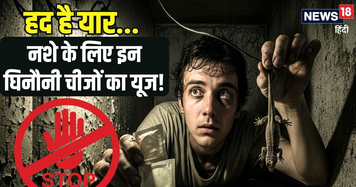 कंडोम से लेकर छिपकली की पूंछ तक... इन घिनौनी चीजों को लोग नशे के लिए करते यूज