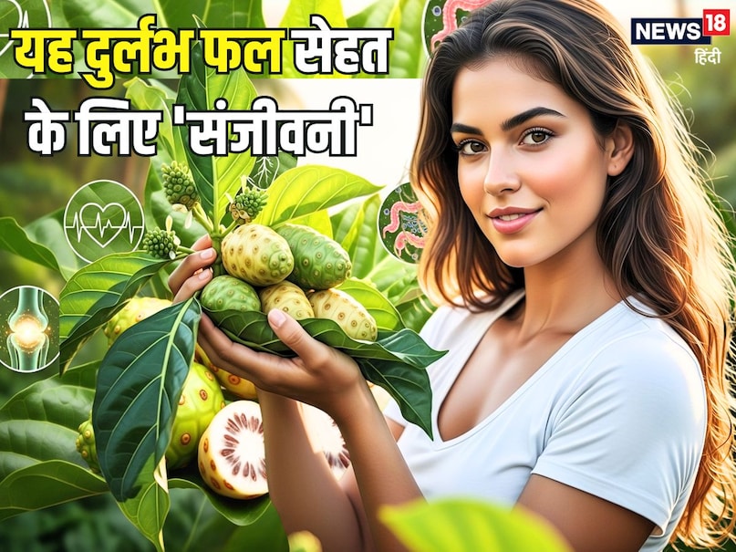 बता दें कि, नोनी फल में कई पोषक तत्व पाए जाते हैं, इसलिए इसकी पहचान एक खास औषधि के रूप में भी की जाती है. यह सेहत का बेहतर ख्याल रखने में मदद करता है. नोनी के पेड़ की खासियत है कि इसके पत्तों से ही नहीं जड़ों से भी हर्बल दवाएं बनाई जा सकती हैं. नोनी का फल कैंसर जैसी खतरनाक बीमारी से भी बचाव करता है. (Image- AI) बता दें कि, नोनी फल में कई पोषक तत्व पाए जाते हैं, इसलिए इसकी पहचान एक खास औषधि के रूप में भी की जाती है. यह सेहत का बेहतर ख्याल रखने में मदद करता है. नोनी के पेड़ की खासियत है कि इसके पत्तों से ही नहीं जड़ों से भी हर्बल दवाएं बनाई जा सकती हैं. नोनी का फल कैंसर जैसी खतरनाक बीमारी से भी बचाव करता है. (Image- AI)