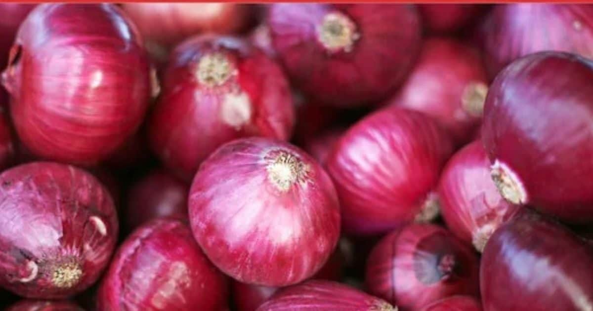 दिल्‍ली में 19 रुपये किलो मिलेगा प्‍याज! बाजार में 40 का है भाव