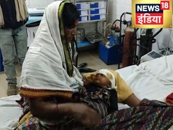 जब बेटी के लिए मां बनी शेरनी! सियार के जबड़े से छुड़ा लाई 3 माह की बच्ची