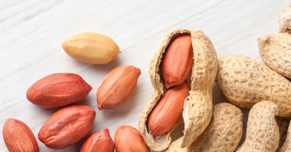 सर्दियों में 1 दिन में कितनी मूंगफली खाएं, इसकी तासीर गर्म होती है या ठंडी? जानें सेवन के फायदे