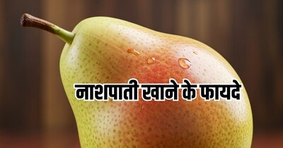 नाशपाती