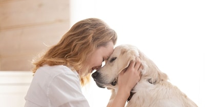 Never Feed These Foods to Your Dog: Expert Warns of Serious Harm