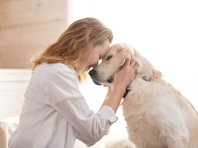 pet dog clone