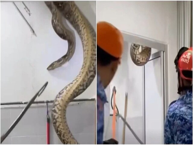 बाथरूम के अंदर से आती थी आवाजें, बाहर तक सुनते थे लोग, अटारी में छिपा था राज!