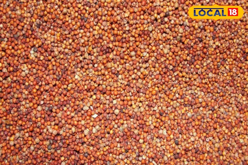 Weight Loss Tips: रोटी नहीं अनाज बदलें – रागी, बाजरा, ज्वार से घटेगा वजन