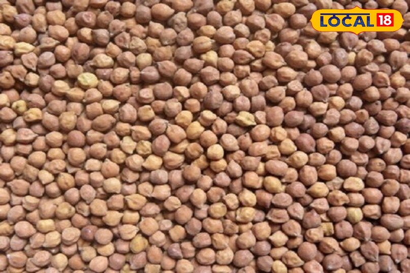 Weight Loss Tips: रोटी नहीं अनाज बदलें – रागी, बाजरा, ज्वार से घटेगा वजन