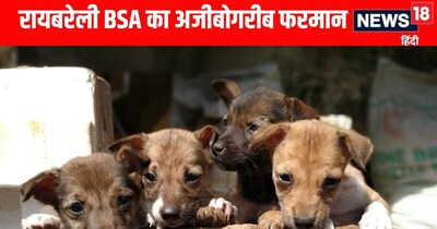 Rae Bareli News: BSA का अजीबोगरीब फरमान से शिक्षकों में नाराजगी 