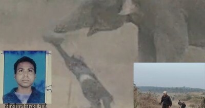 मृतक सीसीएल का सुरक्षा गार्ड अमित रजवार(फाइल फोटो)