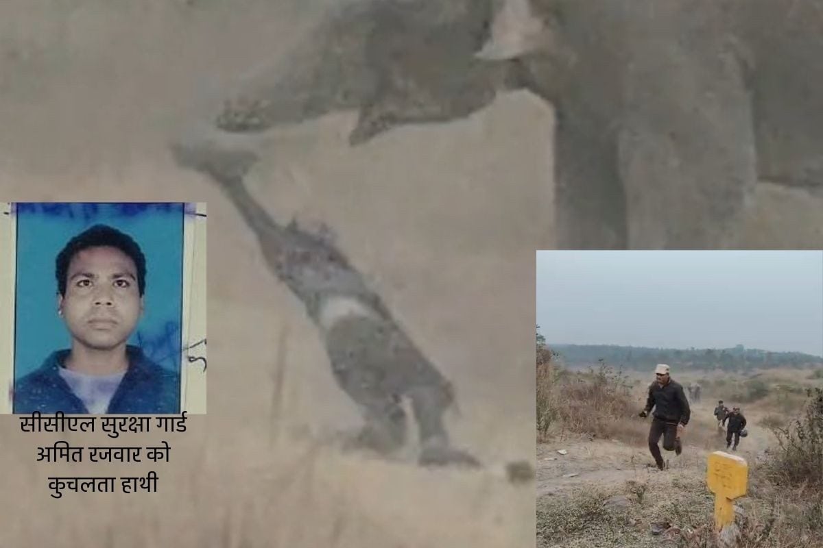 हाथियों के हमले में 4 की जान गई! सेल्फी लेते CCL गार्ड को कुचल डाला खौफ